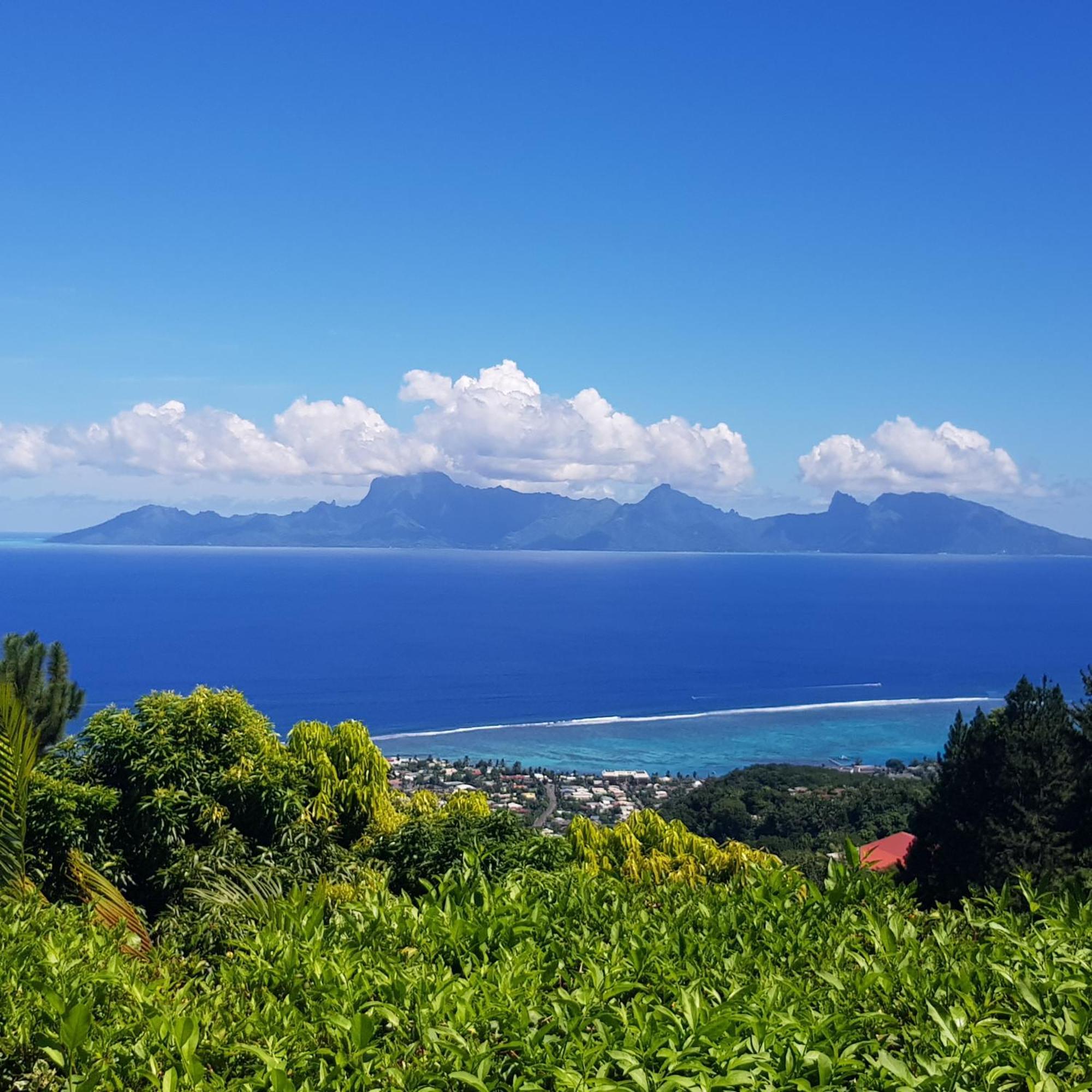 Villa Lodge - Bas De Villa Avec Piscine Et Vue Ocean Et Moorea Punaauia  Exterior photo